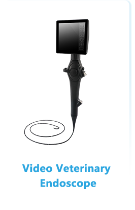 Disposable  Video Hysteroscope