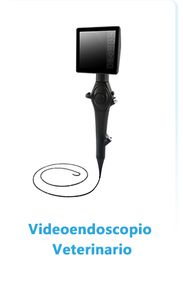 Videoendoscopio Veterinario