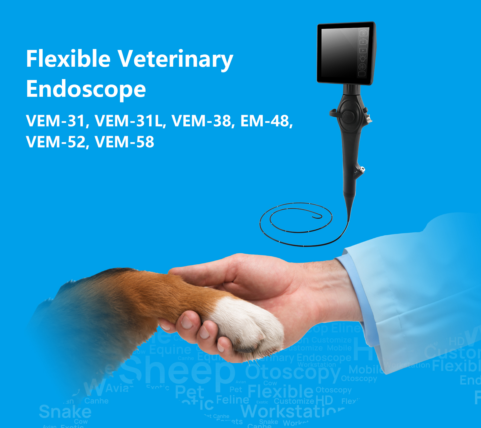 Flexible Veterinary  Endoscope