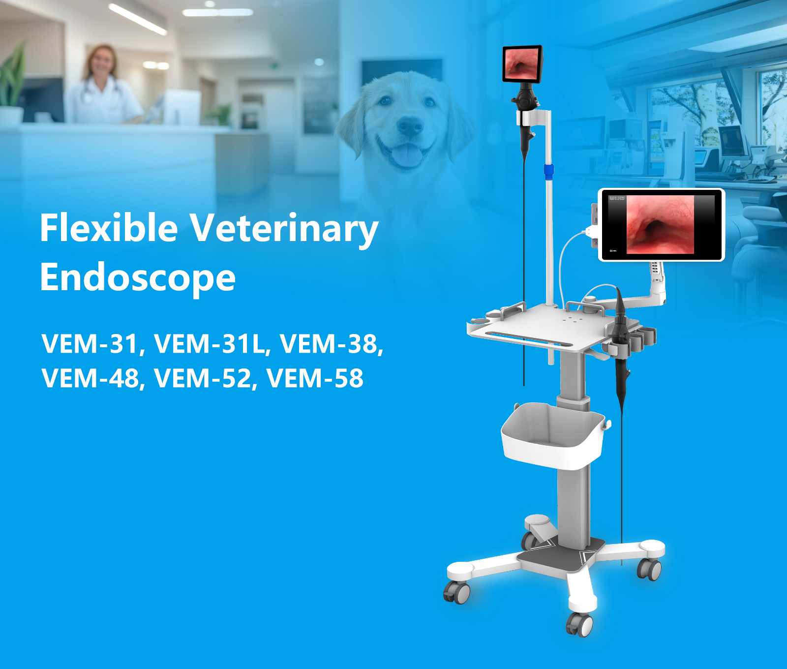 Flexible Veterinary Endoscope,VEM