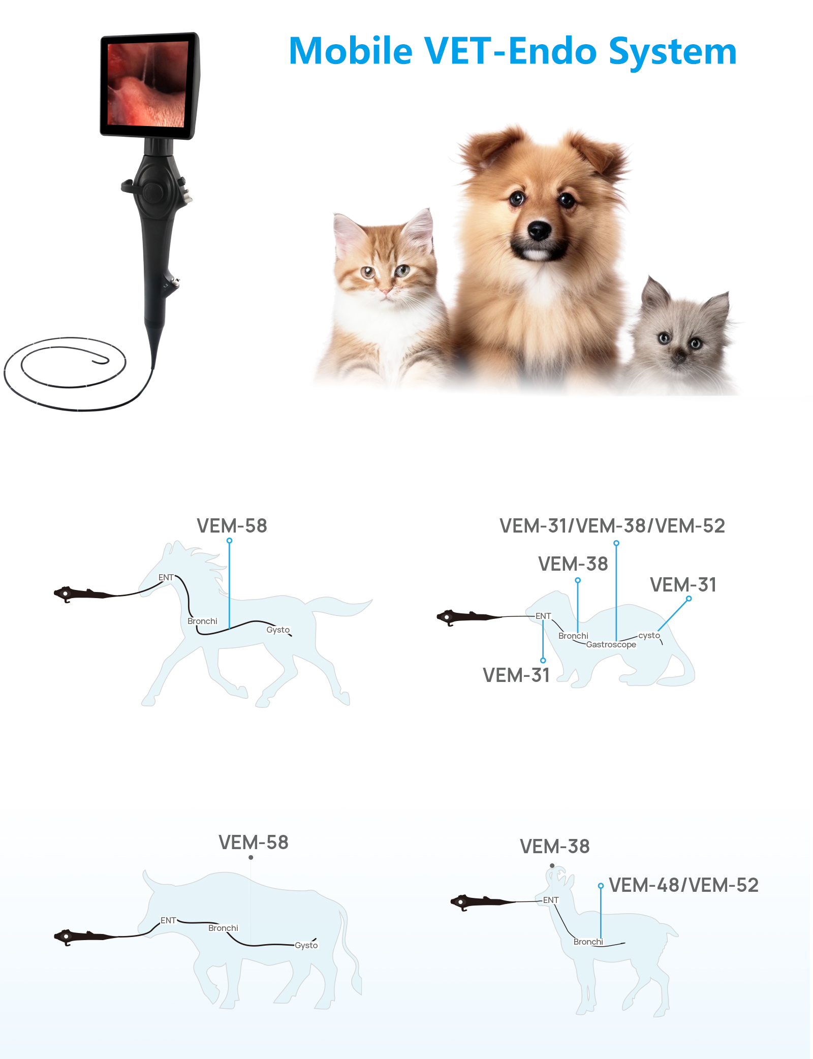 Flexible Veterinary  Endoscope