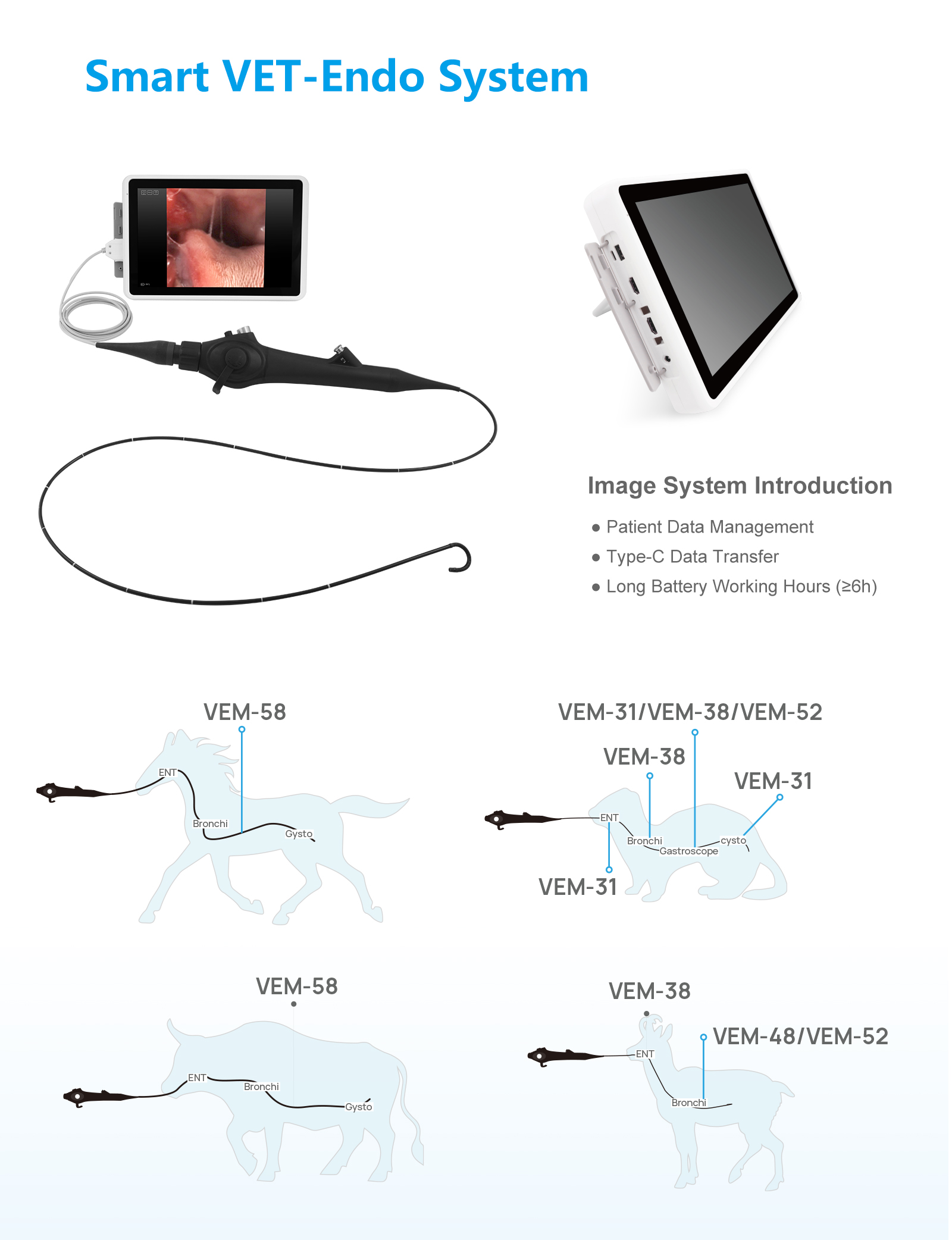 Flexible Veterinary Endoscope,VEM