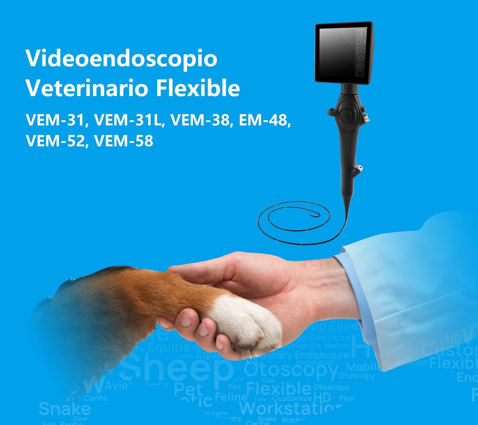 Videoendoscopio Veterinario Flexible VEM