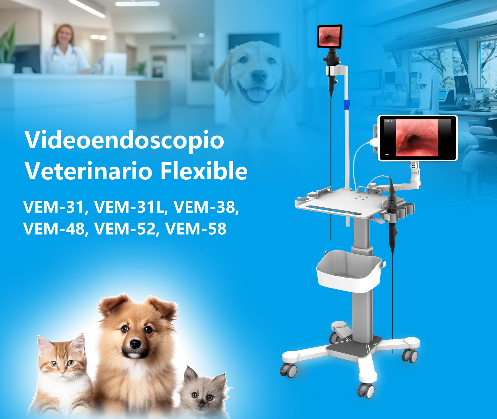 Videoendoscopio Veterinario Flexible VEM