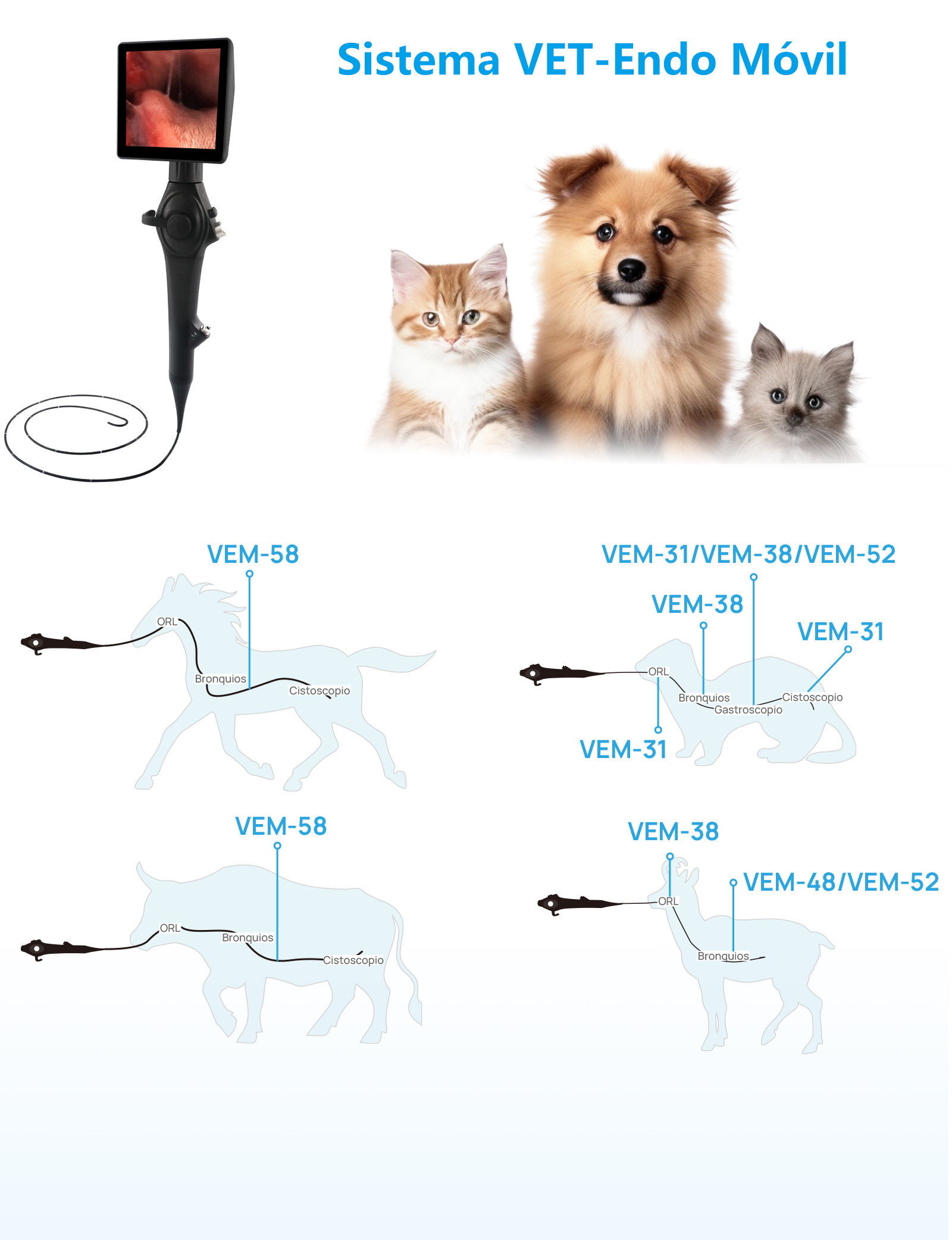 Videoendoscopio Veterinario Flexible VEM