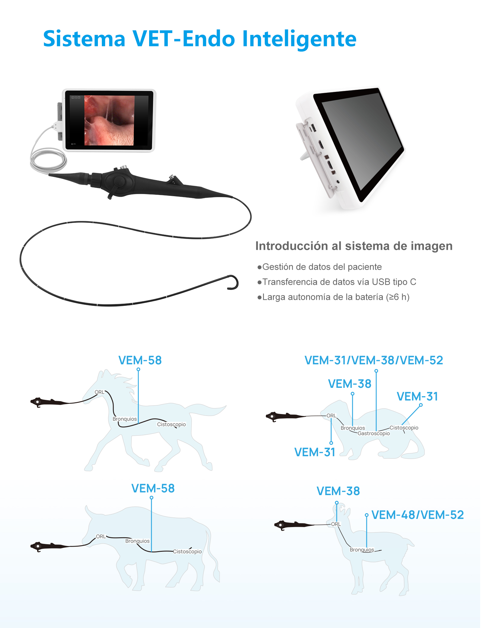 Videoendoscopio Veterinario Flexible VEM