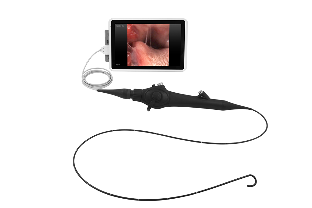Videoendoscopio Veterinario Flexible, VEM